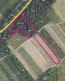 Działka rolna Szczaworyż. Zdjęcie 1