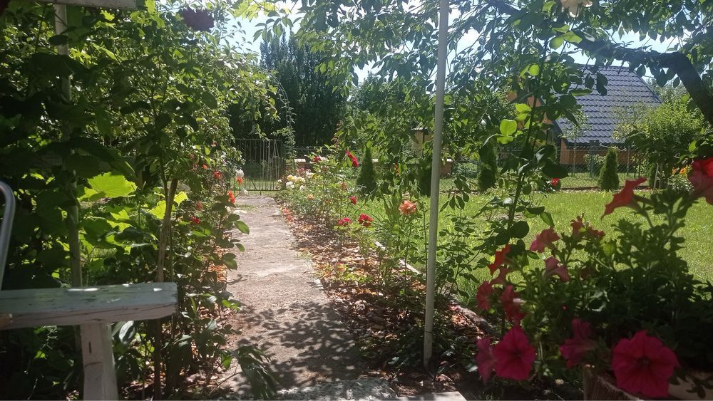 Działka rod Białystok Piasta, ul. Dojnowska. Zdjęcie 6