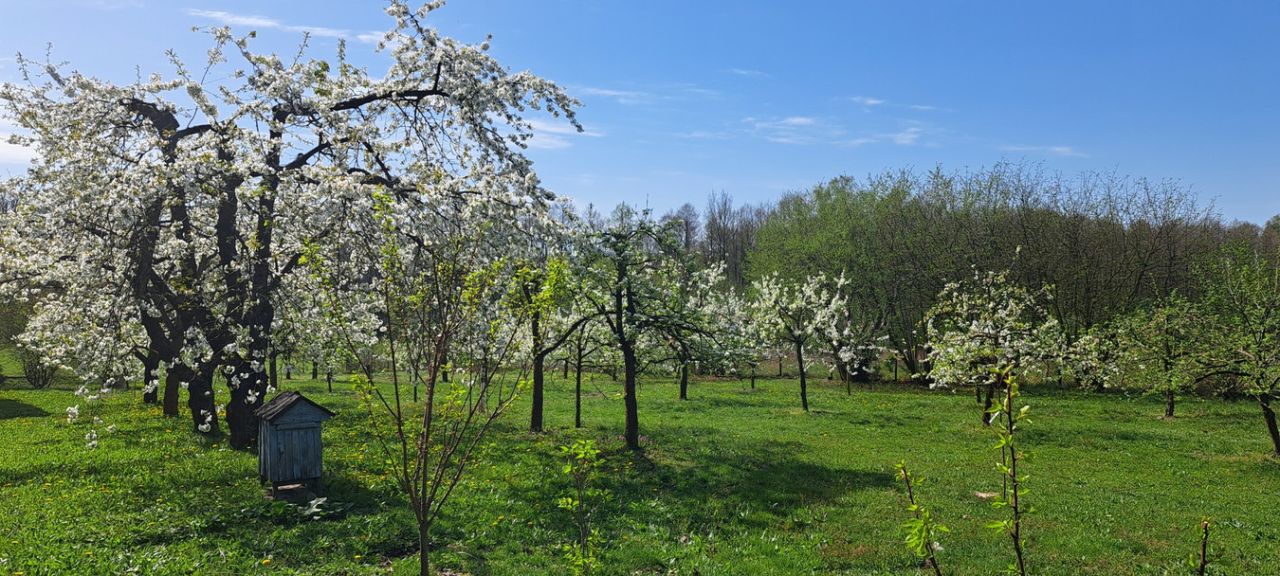 Działka siedliskowa Sobieszyn. Zdjęcie 2