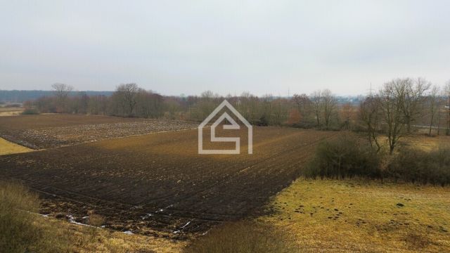 Działka rolna Grobla. Zdjęcie 4