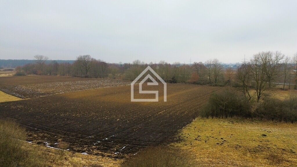 Działka rolna Grobla. Zdjęcie 4