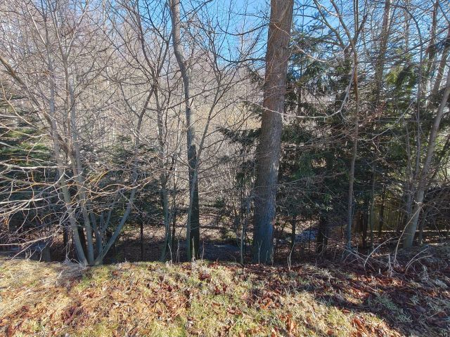 Działka rolno-budowlana Bugaj. Zdjęcie 9