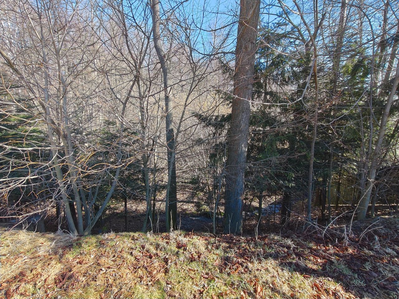 Działka rolno-budowlana Bugaj. Zdjęcie 9