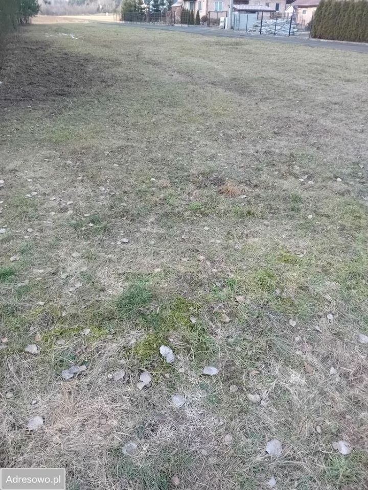 Działka budowlana Ostrowik. Zdjęcie 2