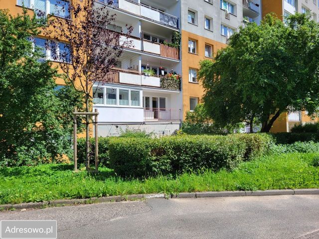 Pokój Gdańsk Oliwa, al. Grunwaldzka. Zdjęcie 1