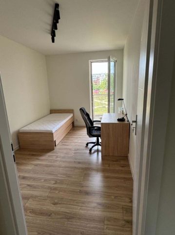 Pokój Wrocław Stare Miasto, ul. Miedziana. Zdjęcie 1