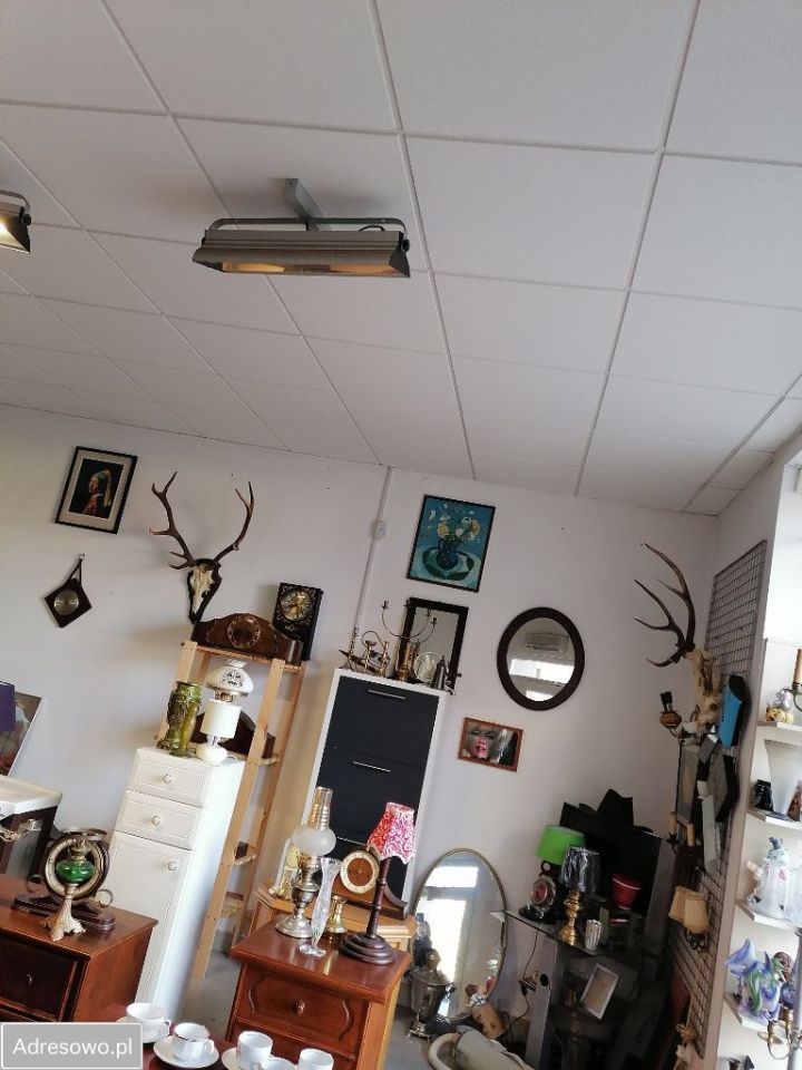 Lokal Ziębice, ul. Grunwaldzka. Zdjęcie 2