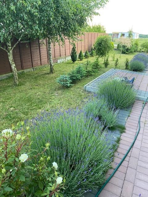 dom wolnostojący, 4 pokoje Łubniki. Zdjęcie 3