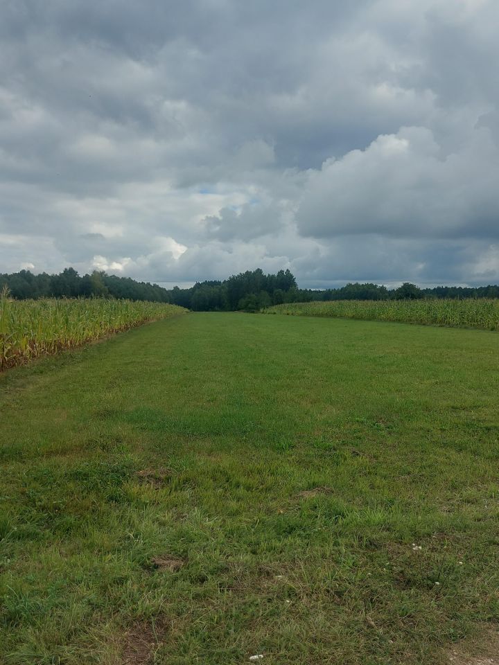 Działka rolna Podwody-Kolonia. Zdjęcie 3