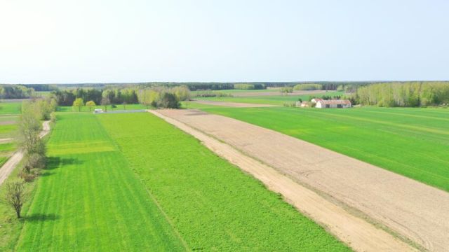 Działka budowlana Szczepankowo. Zdjęcie 4