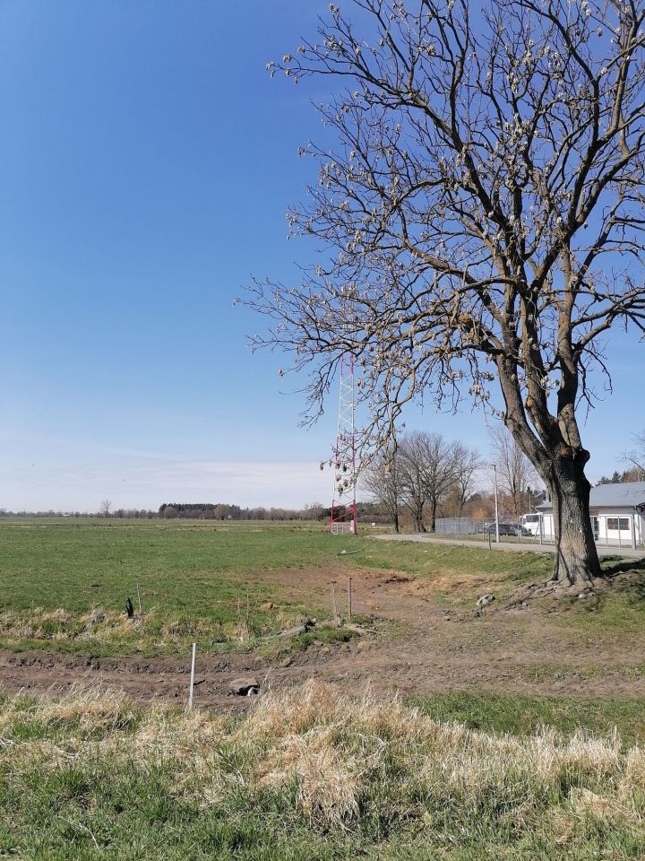 Działka budowlana Stegna, ul. Sportowa. Zdjęcie 4