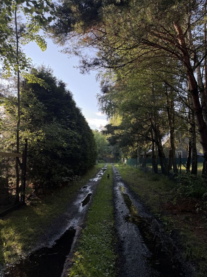 Działka budowlana Arciechów Myszyniec. Zdjęcie 7