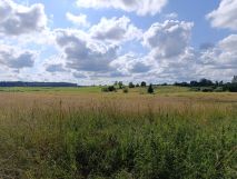 Działka rolna Zerbuń. Zdjęcie 2