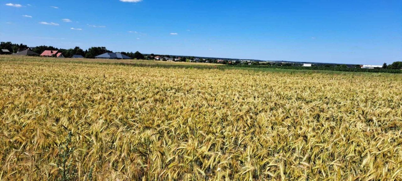 Działka budowlana Prawiedniki