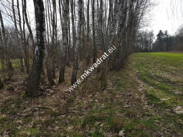 Działka rolna Borszyce. Zdjęcie 1