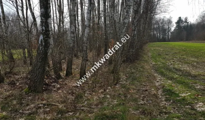 Działka rolna Borszyce