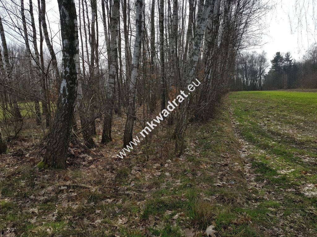 Działka rolna Borszyce. Zdjęcie 1