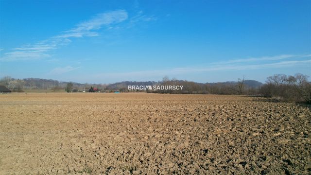 Działka siedliskowa Szczurowa, Popędzyna. Zdjęcie 14