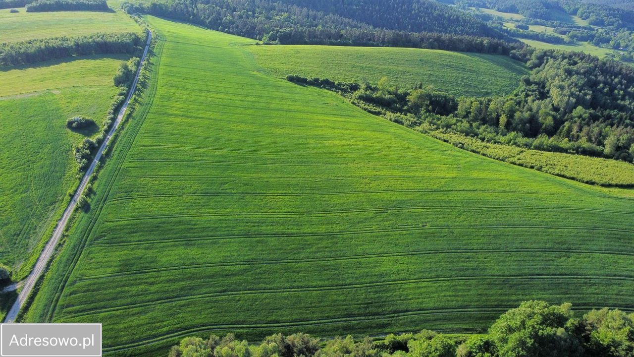 Działka rolna Leszczawa Górna. Zdjęcie 6
