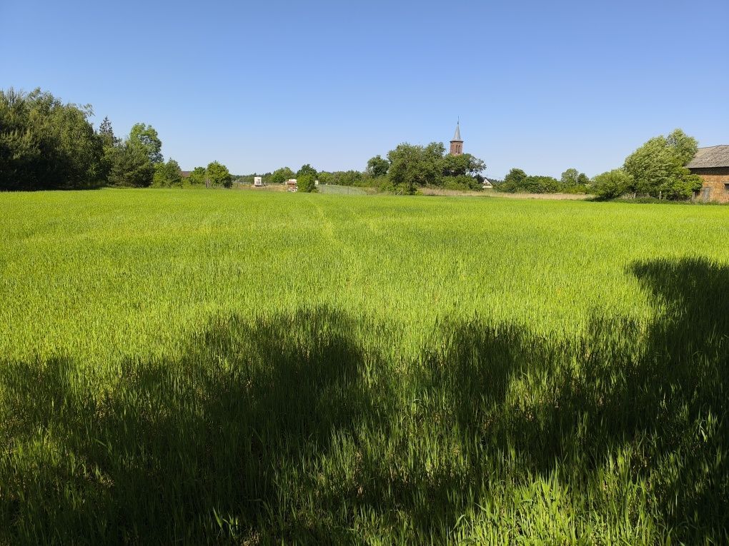 Działka rolno-budowlana Nowogród. Zdjęcie 2