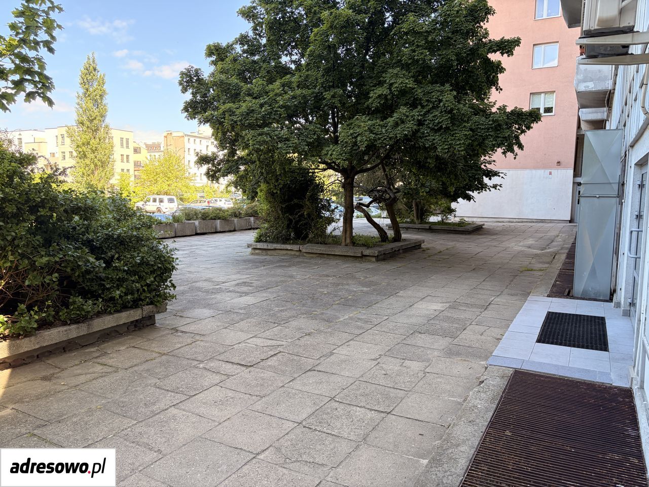 Lokal Łódź Śródmieście, ul. Piotrkowska. Zdjęcie 3
