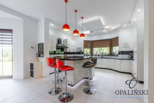 dom wolnostojący, 12 pokoi Puchacze. Zdjęcie 29