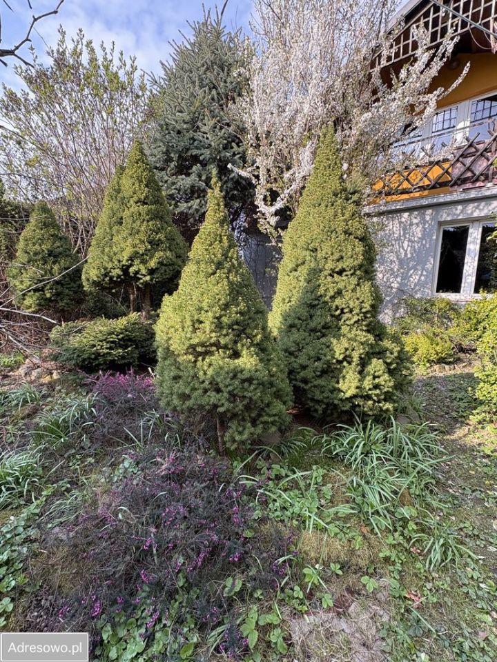 dom wolnostojący, 2 pokoje Ryczów, ul. Jana Pawła II. Zdjęcie 4