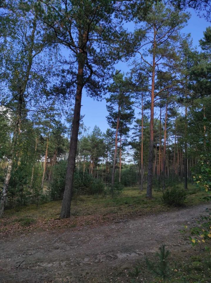 Działka rekreacyjna Konarzyny. Zdjęcie 2