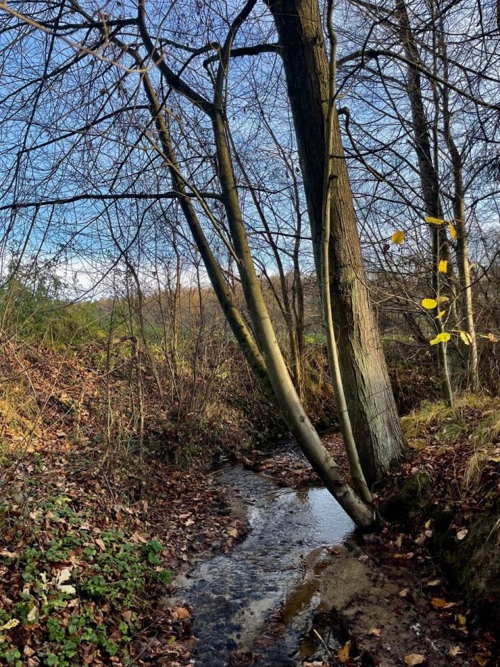 Działka rolno-budowlana Włosań. Zdjęcie 2