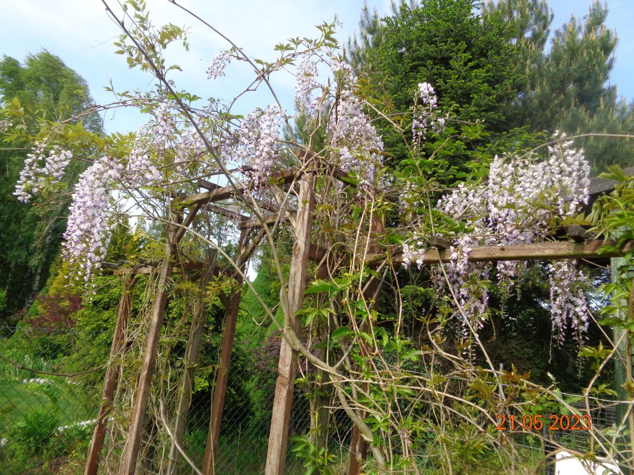 Działka rekreacyjna Grzybowo. Zdjęcie 14