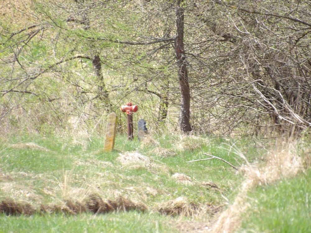 Działka budowlana Wysoka. Zdjęcie 2