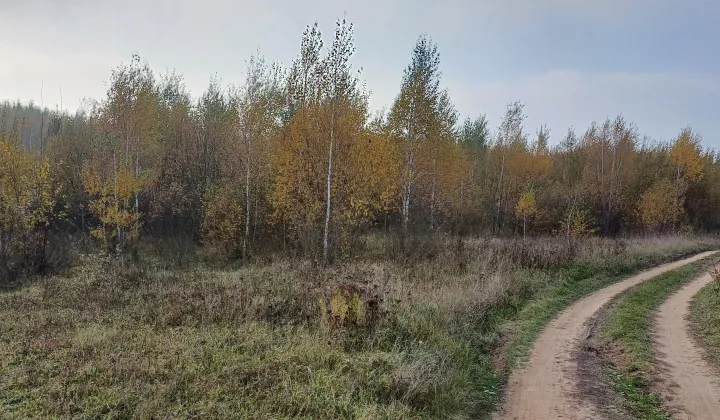 Działka rolna Ramsowo