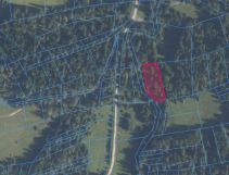 Działka leśna Lipnica Wielka. Zdjęcie 1