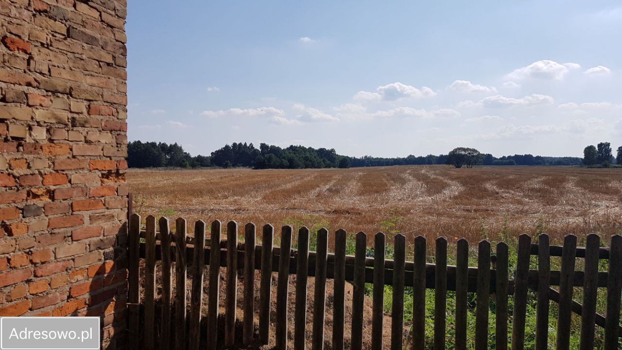 gospodarstwo Lubiszyn, ul. Pocztowa. Zdjęcie 4