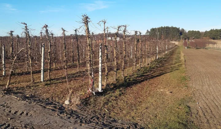 Działka rolno-budowlana Nowy Żelechów