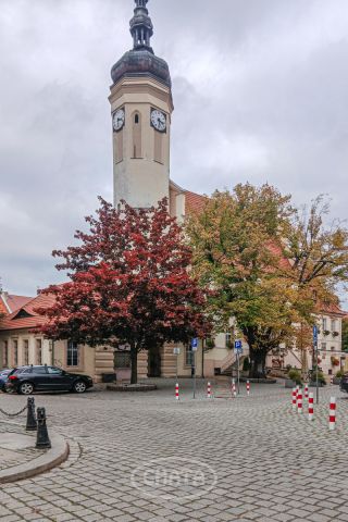 Mieszkanie 3-pokojowe Wołów, ul. Ludowa. Zdjęcie 29
