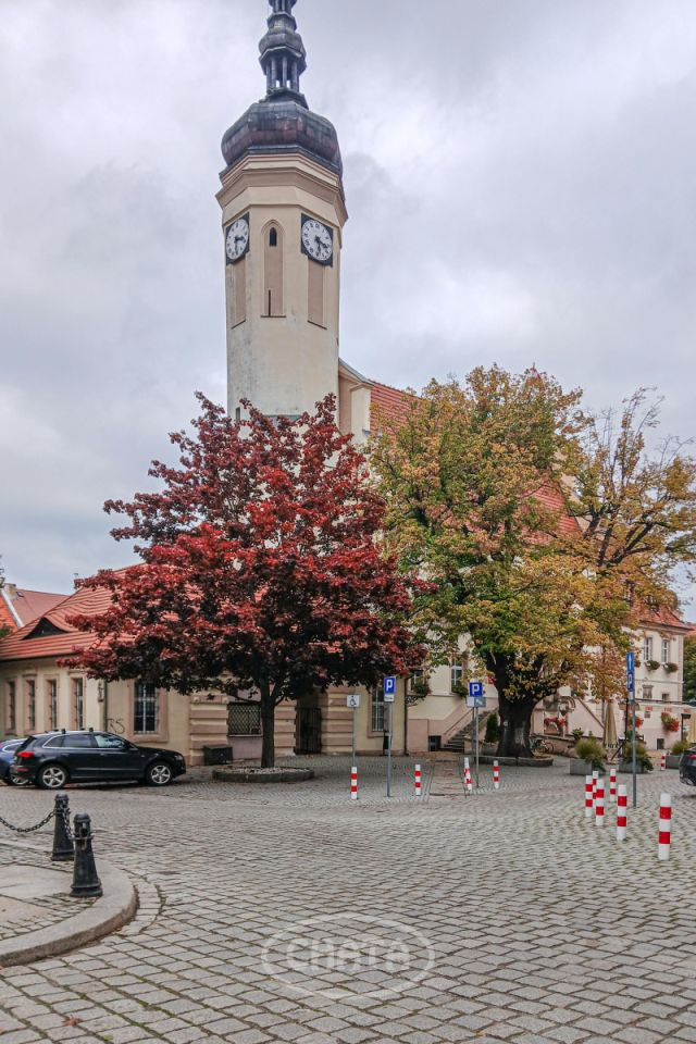 Mieszkanie 3-pokojowe Wołów, ul. Ludowa. Zdjęcie 29