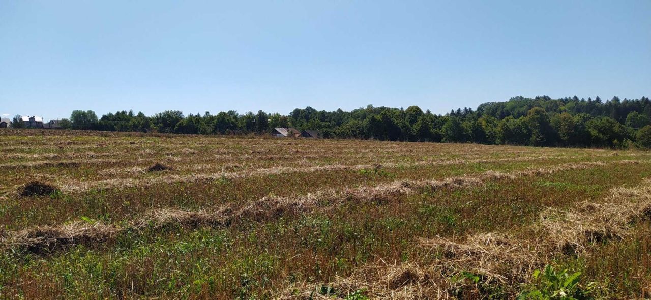 Działka budowlana Szalowa. Zdjęcie 6