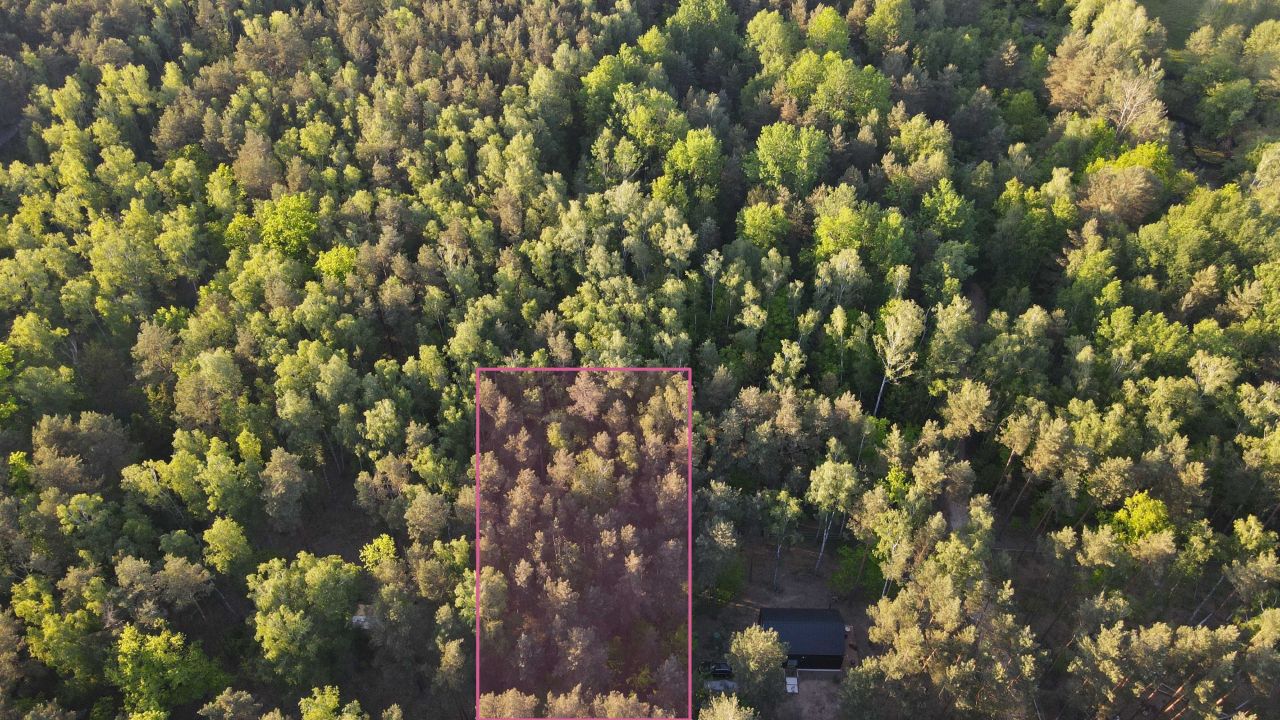Działka budowlana Nowy Adamów. Zdjęcie 4