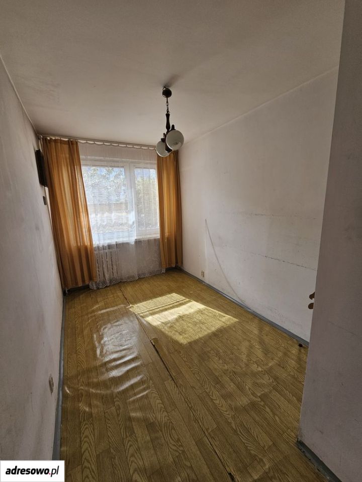 Zdjęcie 8