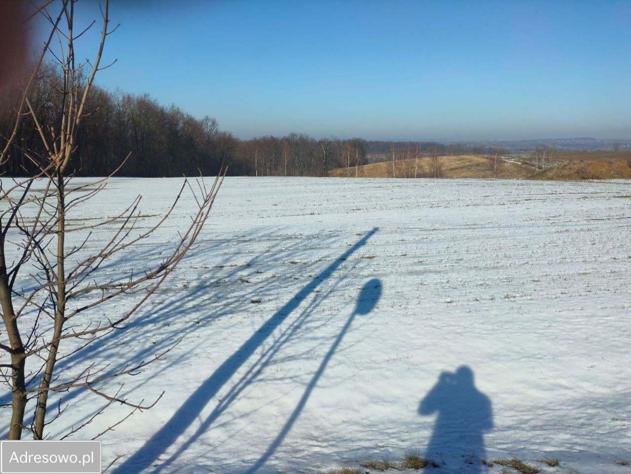 Działka budowlana Celiny. Zdjęcie 17