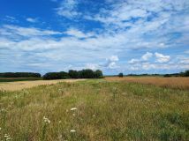 Działka rolno-budowlana Ignatów