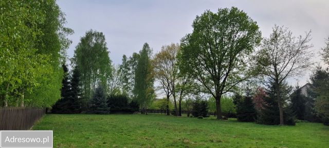 Działka rolno-budowlana Kłudno. Zdjęcie 1