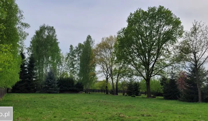 Działka rolno-budowlana Kłudno