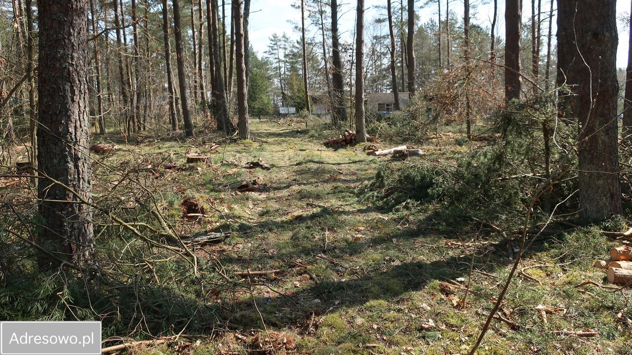 Działka rekreacyjna Łupawsko. Zdjęcie 7