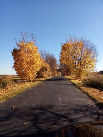 Działka rolno-budowlana Pilichowice. Zdjęcie 4