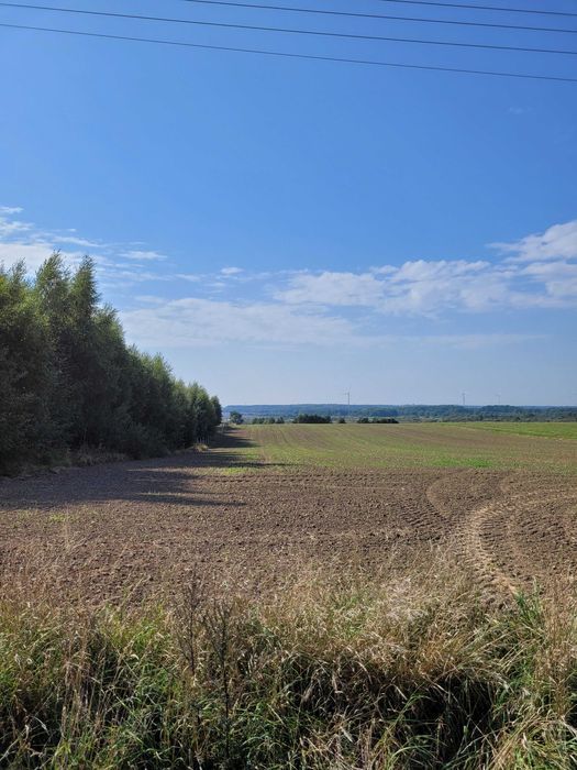 Działka rolna Przystawy. Zdjęcie 3