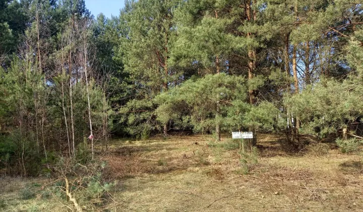 Działka rekreacyjna Dzbądz, Dzbądz