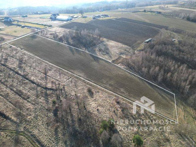 Działka budowlana Chmielnik. Zdjęcie 4