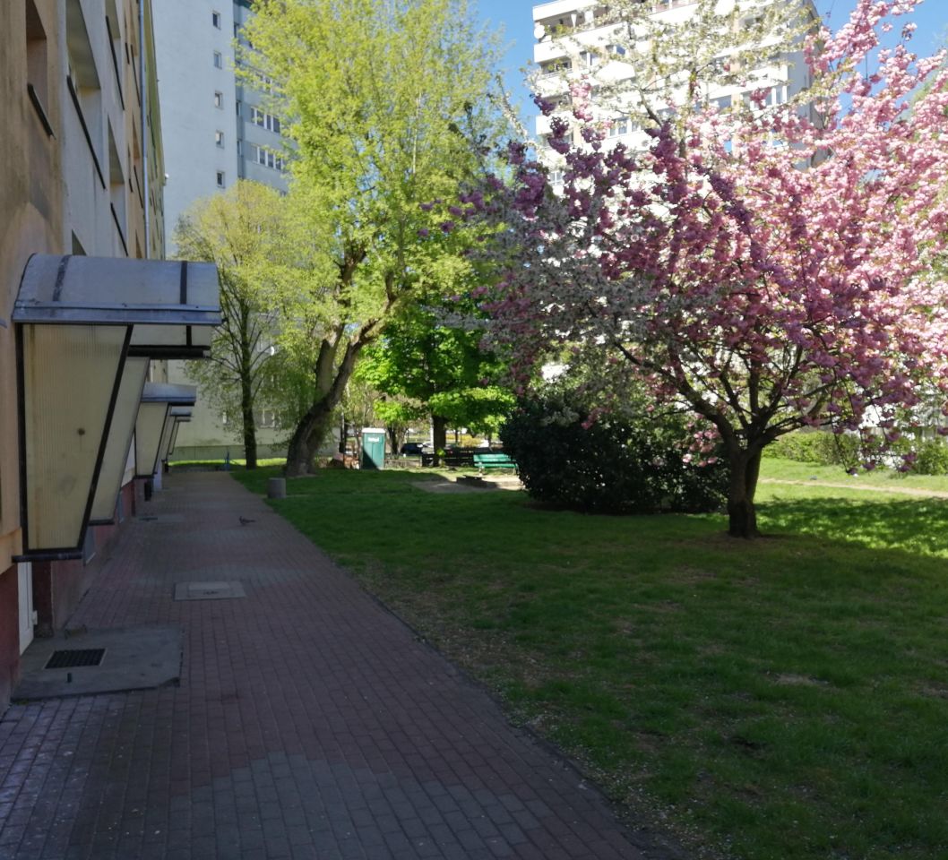 Mieszkanie 2-pokojowe Szczecin Niebuszewo, ul. bł. Wincentego Kadłubka. Zdjęcie 2